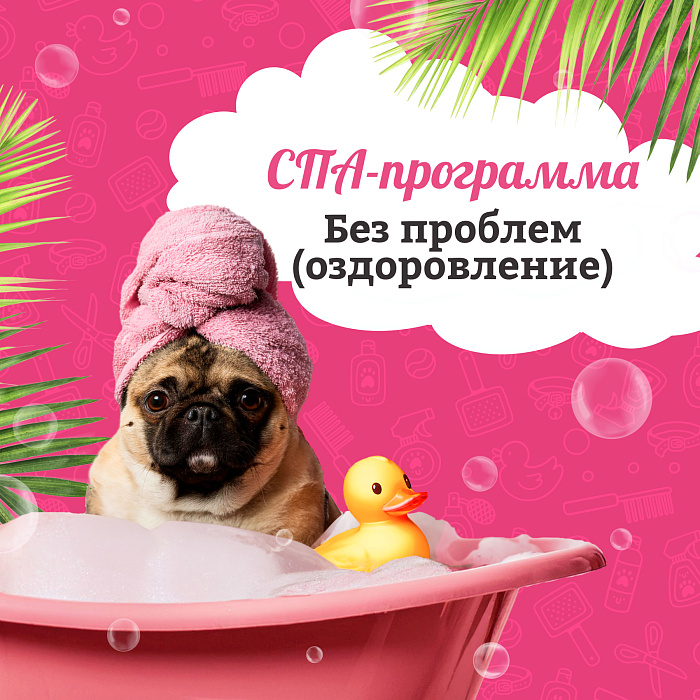 Spa - программа "Оздоровление"