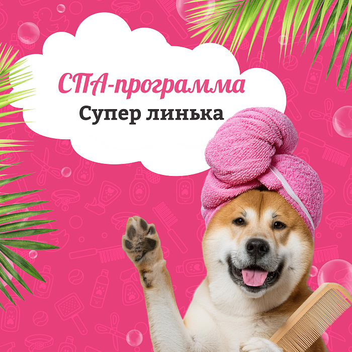 Spa - программа "Супер - Линька"